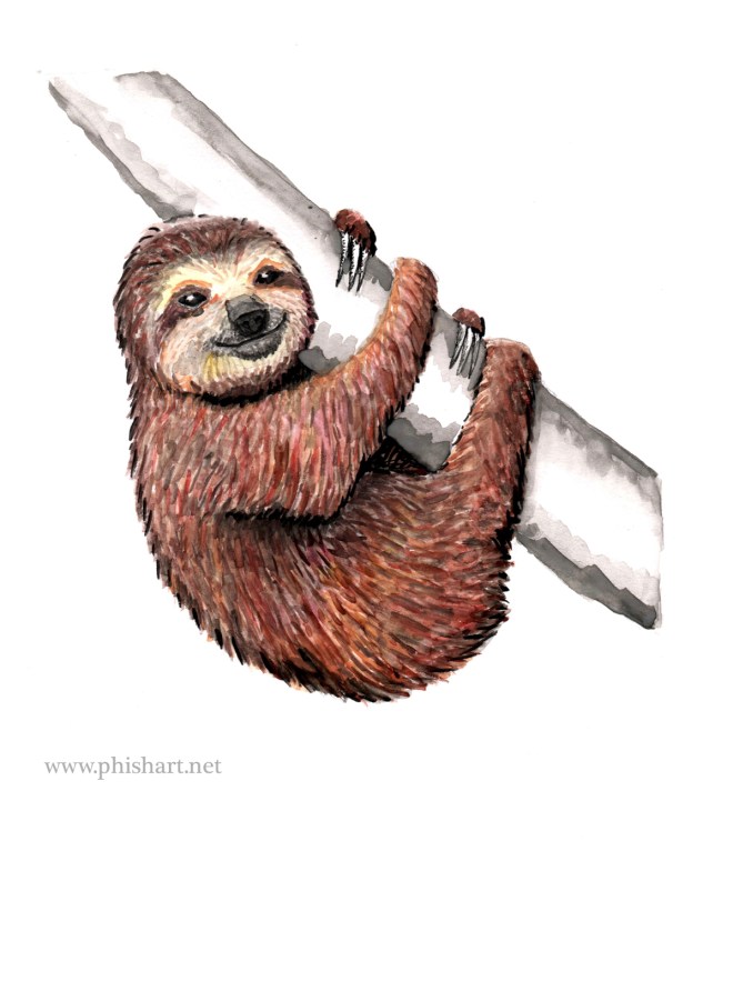 8sloth
