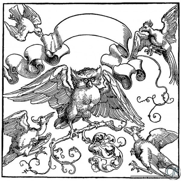 Albrecht-Durer-An-Owl-Fights-with-Other-Birds